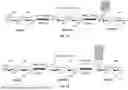 Fig. 02 - INJECTABLE DOSIMETER COMPOSITIONS AND METHODS OF USING SAME