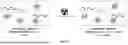 Fig. 05 - INJECTABLE DOSIMETER COMPOSITIONS AND METHODS OF USING SAME