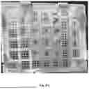 Fig. 06 - INJECTABLE DOSIMETER COMPOSITIONS AND METHODS OF USING SAME