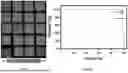 Fig. 15 - INJECTABLE DOSIMETER COMPOSITIONS AND METHODS OF USING SAME