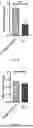 Fig. 07 - Piezoelectric Conductive Composite Stent And Preparation Method Thereof