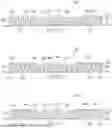 Fig. 05 - LOW PROFILE DISTRIBUTION COMPONENTS FOR WOUND THERAPY