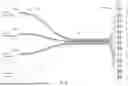 Fig. 21 - FLUIDICS CONTROL SYSTEM FOR MULTI CATHETER STACK