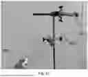 Fig. 12 - DEVICE AND METHOD FOR AEROSOLIZED DELIVERING OF SUBSTANCE TO A NATURAL ORIFICE OF THE BODY