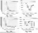 Fig. 44 - DEVICE AND METHOD FOR AEROSOLIZED DELIVERING OF SUBSTANCE TO A NATURAL ORIFICE OF THE BODY