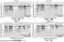 Fig. 08 - DEVICE AND METHOD FOR CONTROLLING RESPIRATION DURING SLEEP