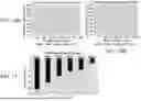 Fig. 10 - DEVICE AND METHOD FOR CONTROLLING RESPIRATION DURING SLEEP