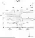 Fig. 20 - SURGICAL METHOD FOR DELIVERING DRUG SOLUTION TO MYOCARDIUM
