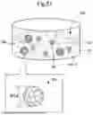 Fig. 22 - SURGICAL METHOD FOR DELIVERING DRUG SOLUTION TO MYOCARDIUM