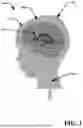 Fig. 02 - SMARTSHUNT