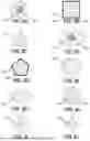 Fig. 09 - SUBMUCOSAL BIORESORBABLE DRUG ELUTING PLATFORM