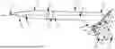 Fig. 01 - LUER FITTING