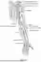 Fig. 26 - MEDICAL DEVICE FOR SENSING AND OR STIMULATING TISSUE