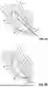 Fig. 05 - ANCHORING HOLDING TOOL