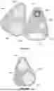 Fig. 18 - WEARABLE NEUROMODULATOR DEVICES