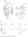 Fig. 10 - DEVICES AND METHODS FOR TREATING MOTION SICKNESS USING ELECTRICAL STIMULATION