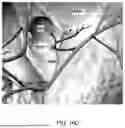 Fig. 22 - DEVICES AND METHODS FOR TREATING MOTION SICKNESS USING ELECTRICAL STIMULATION