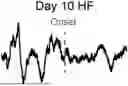 Fig. 01 - TREATMENT FOR LOSS OF CONTROL DISORDERS