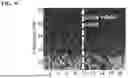 Fig. 08 - TREATMENT FOR LOSS OF CONTROL DISORDERS