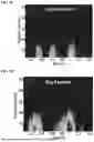 Fig. 14 - TREATMENT FOR LOSS OF CONTROL DISORDERS