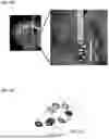 Fig. 19 - TREATMENT FOR LOSS OF CONTROL DISORDERS