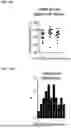 Fig. 27 - TREATMENT FOR LOSS OF CONTROL DISORDERS