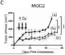 Fig. 01 - COMBINATIONS AND USES THEREOF