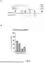 Fig. 05 - COMBINATIONS AND USES THEREOF