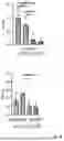 Fig. 06 - COMBINATIONS AND USES THEREOF