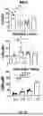 Fig. 10 - COMBINATIONS AND USES THEREOF