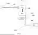 Fig. 10 - MEASURING RADIATION DOSE