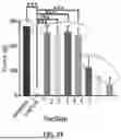 Fig. 17 - SIMULTANEOUS ULTRASONIC IMAGING AND LOW INTENSITY FOCUSED ULTRASOUND THERAPY
