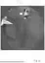 Fig. 08 - Extinguishing System