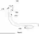 Fig. 03 - Friction Enhanced And Adjustable 'Y' Grip Doorframe Pullup Bar