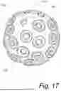 Fig. 15 - Noise Reduction Pickleball