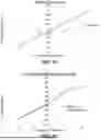 Fig. 13 - GOLF CLUB HEAD WITH IMPROVED CHARACTERISTIC TIME