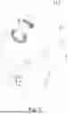Fig. 06 - STIRRING ASSEMBLY AND MILK FROTHER