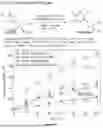 Fig. 11 - MICRO-FLOW SYNTHESIS OF COMPOUNDS AND SYSTEMS THEREOF