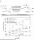 Fig. 14 - MICRO-FLOW SYNTHESIS OF COMPOUNDS AND SYSTEMS THEREOF