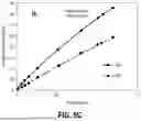 Fig. 08 - CARBON SORBENT FORMULATIONS FOR CARBON DIOXIDE ADSORPTION, AND RELATED METHODS