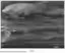 Fig. 02 - LITHIUM-ION ADSORPTION MATERIAL, AND PREPARATION METHOD AND USE THEREOF