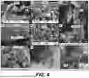 Fig. 05 - V2C@V2O5/TiO2 COMPOSITE PHOTOCATALYST, PREPARATION METHOD, AND APPLICATION THEREOF