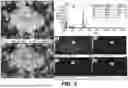 Fig. 06 - V2C@V2O5/TiO2 COMPOSITE PHOTOCATALYST, PREPARATION METHOD, AND APPLICATION THEREOF