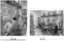 Fig. 20 - SYSTEM AND METHODS FOR CONCURRENT GERMFREE AND GNOTOBIOTIC INFRASTRUCTURE