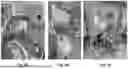 Fig. 22 - SYSTEM AND METHODS FOR CONCURRENT GERMFREE AND GNOTOBIOTIC INFRASTRUCTURE
