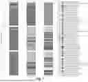 Fig. 25 - SYSTEM AND METHODS FOR CONCURRENT GERMFREE AND GNOTOBIOTIC INFRASTRUCTURE
