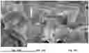 Fig. 28 - SYSTEM AND METHODS FOR CONCURRENT GERMFREE AND GNOTOBIOTIC INFRASTRUCTURE