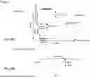 Fig. 23 - Containing a Liquid Sample