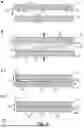 Fig. 04 - DEVICES AND METHODS FOR PLATELET ASSAY