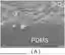 Fig. 01 - METHOD FOR FORMING ASSEMBLED NANOMATERIAL COATING BY SOLUTE-ASSISTED ASSEMBLY, AND RESULTING PRODUCTS